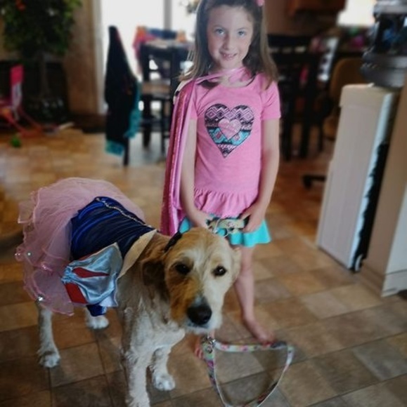 Meet your Posher, Chartin - Picture 1 of 1